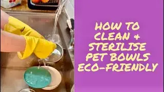 How to wash and sterilise pet bowls. Think green and use reusable rubber gloves to clean