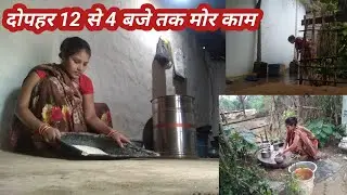 दोपहर 🏠12 बजे से 4 बजे 🙍‍♀️🙍‍♀️तक मोर काम
