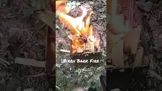 Easy Firelighting