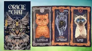 🐾 L'oracle du chat d'Anne-Sophie Casper aux éditions @secretdetoileseditions8382 🐾