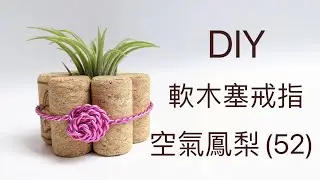 DIY wire 教你如何使用彩色鋁線製作空氣鳳梨 軟木塞戒指 戒圍盆How to make Aluminum wire Air plant