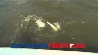 Keep America Fishing