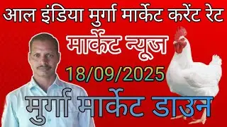 18Sep2025/poultry rate today/thok murga mandi rates/aaj ka chicken rates today/murga mandi taza rate