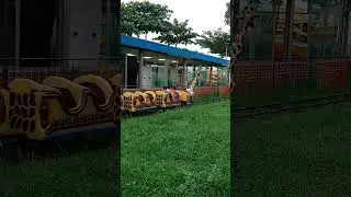 I visited the children's fair and came across a huge giraffe