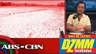 Parched Occidental Mindoro tallies P31-million agri losses