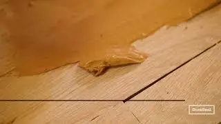 DuraSeal Wood Patch Spot Filling