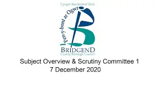 Subject Overview and Scrutiny Committee 1 - 07 December 2020