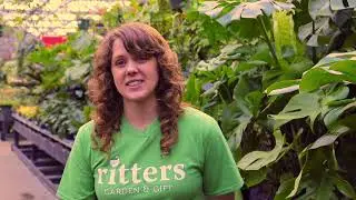 What its like working in our greenhouse