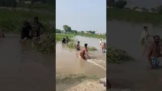Flood in village 😥😭🙏 | flood in pakistan 2025 | ban tot gia 😥 #trending #viral #shorts