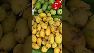 Сколько стоит Манго в Нячанге? Февраль 2025 #вьетнам #shortvideo #путешествия