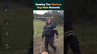 Ranking The Hilarious Dog walk Moments #shortsfeed #usa #funny #dogshorts