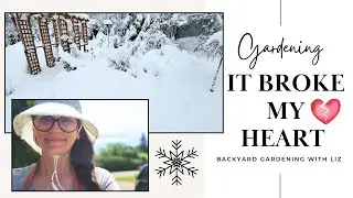 My Garden After The Snow Storm ❄️ Beauty And Damage Revealed (Gardening Journey EP 15)
