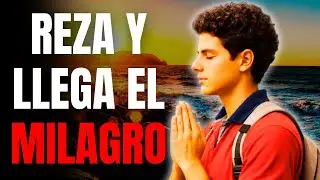 ¡Reza si estás desesperado! | Milagro urgente con Carlo Acutis