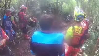 TRILHA OS PORCO 