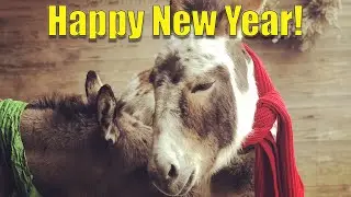 What Are You Doing New Years Eve? (Mockingbird Farm Cover song)