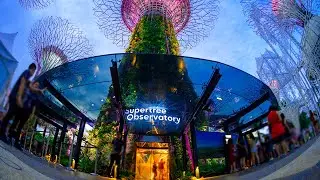 Gardens by the Bay Supertree Observatory (New)