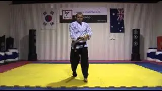 Tans Hapkido - W15 Wooden sword pattern 1