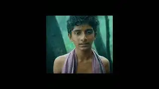 #kantara movie🎋🌲 forest scene#shorts#movieclips #shortsfeed #trendingshorts #