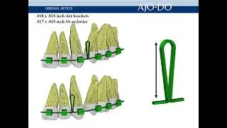 AJODO Video 2023 May