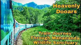 SILIGURI to SIVOK Train Journey through Heavenly Dooars Forest | Mahananda Wildlife Sanctuary