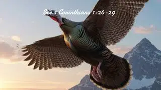 We May be Turkeys, But Christ Makes Us Soar Like Eagles