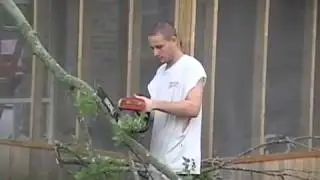 travis cuts adams tree
