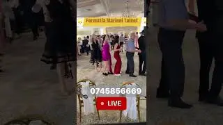 🌟Show Formatia Marinel Talent🌟