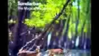 Bangladeshi crying music