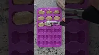 Простые домашние лакомства для собак {Идеально подходят для щенков и собак!}