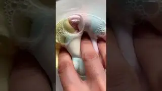 Soft Clay Bubble Pop ASMR 😌 | Ultra Satisfying No Talking|