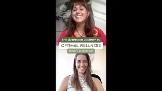 Mighty Mushroom Tincture: Daily Wellness Benefits | The Mushroom Journey to Optimal Wellness