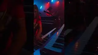 REPRISE | RECREATING ICONIC PHISH SHOWS #guelahpapyrus #reprisetheband #phishtribute #reprise