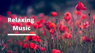 RELAXING music for a QUICK WORK break. CALM Piano Music. Meditating.