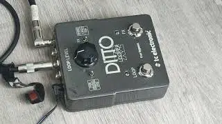 Review Ditto looper x2 in one minute