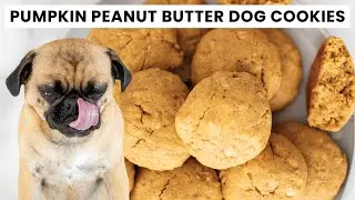 Pumpkin Peanut Butter Dog Cookies | Easy Soft-Baked & Healthy Homemade Treats.