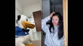 Paperino sta CACANDO