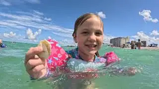 Trip to Venice Beach to find shark teeth