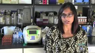 Science Scoop - Episode 01 - University of Waterloo:  iGEM