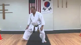 5 Basic Tae Kwon Do Poses : Tae Kwon Do