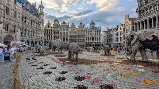 deel 10 – Canal Charleroi à Bruxelle