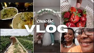 GETTING MARRIED??|VLOG:MARSHALS HAUL + BERRY PICKING + NEW NAILS