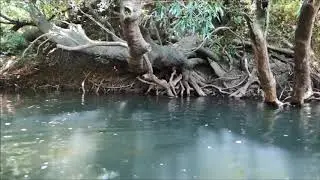 Río Queguay Chico.  Paysandú