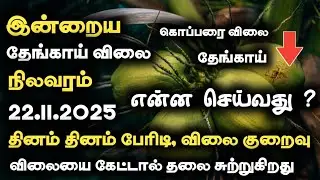 ⚠️தினசரி தேங்காய் விலை 🥥நிலவரம் 22.11.2025 | Today Coconut Market Price In Tamil #coconutprice