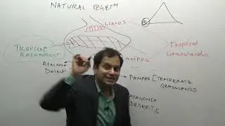 South America Natural Vegetation and Climate
