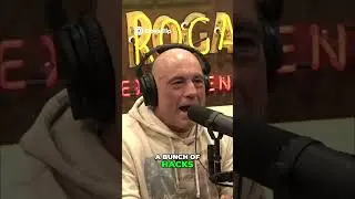 Sitcom Success  My Crazy #ai #jre #jrefunnymoments #comedian #art #podcast #joerogan  #education