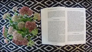 ACIM Chapter 1, Part 6: The Illusion of Needs | A Course In Miracles Text Audio