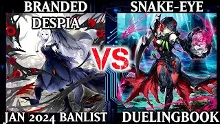 Branded Despia vs Snake-Eye | High Rated | Dueling Book