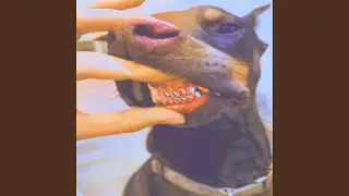 AloKT