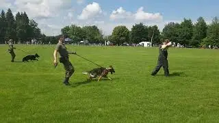 Hundeangriff Bundeswehr Murnau 2018
