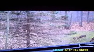 Lid Cam